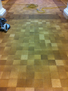 Cork floor at Alberta Legislature Library.